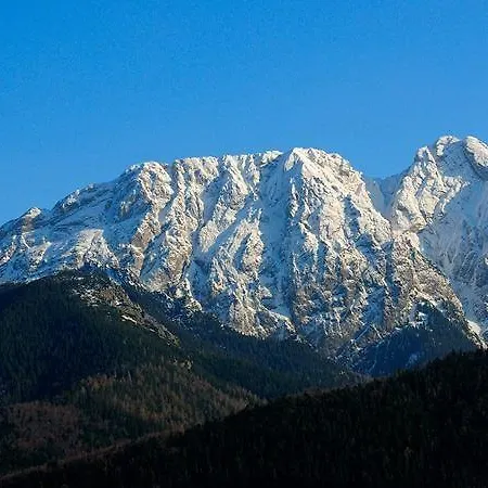 Viva Maria Apartamenty Zakopane Exterior foto
