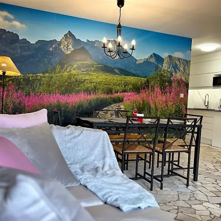 Viva Maria Apartamenty Zakopane Exterior foto