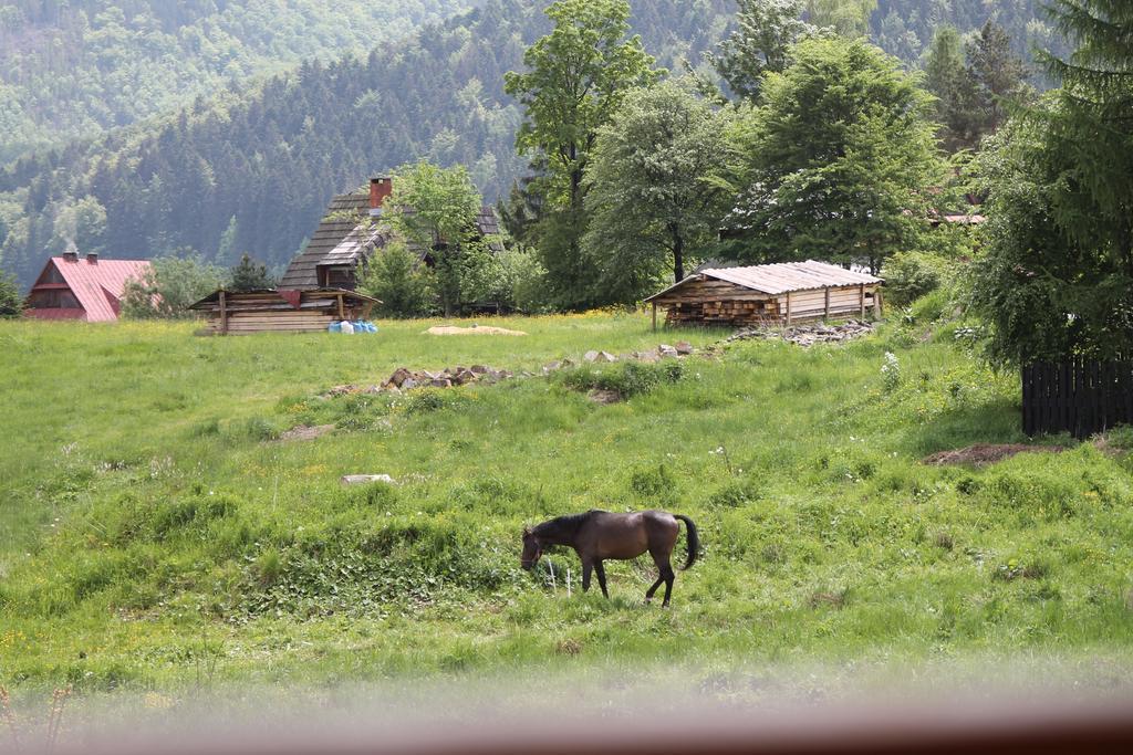 Viva Maria Zakopane