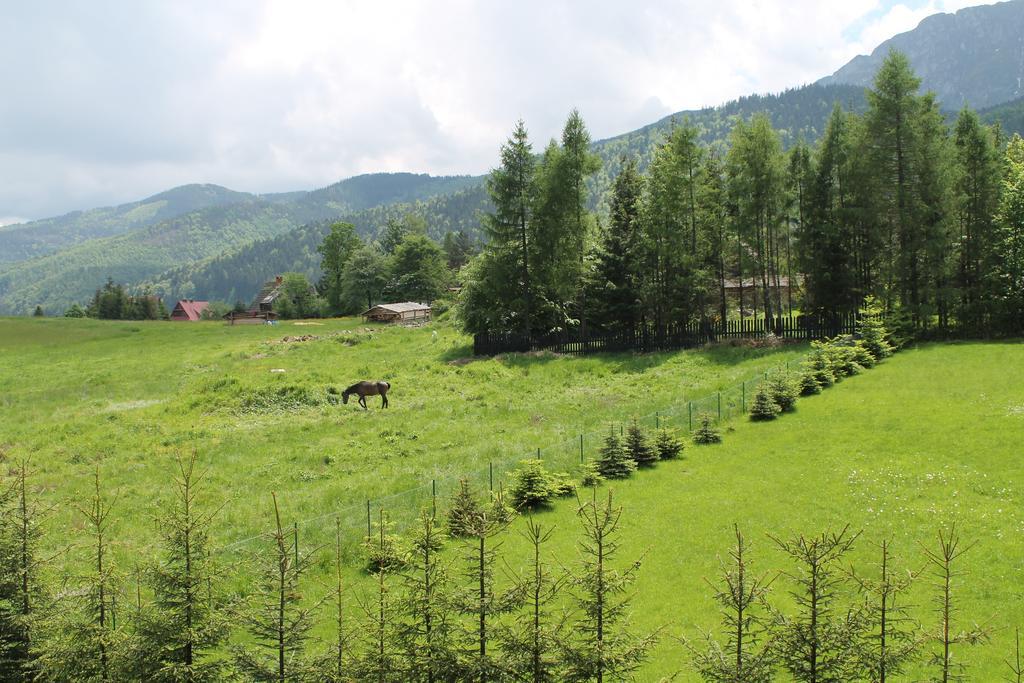 Apartamento Viva Maria Zakopane